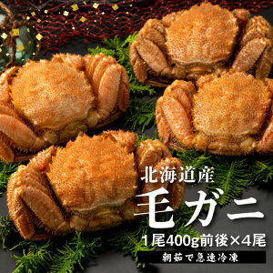 yӂ邳Ɣ[ŁzykCYzwⓀxуKj400gO×4ty}Ⓚzy520019z