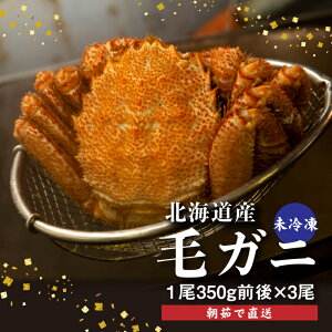yӂ邳Ɣ[ŁzyzBnz 䥂 уKj 350gO×3t ① Ⓚ уKj kC ӂ邳Ɣ[ ъI т уKj   CN VN NNn bs b kCӂ邳