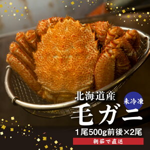 yӂ邳Ɣ[ŁzyzBnz 䥂 уKj 500gO×2t ① Ⓚ уKj kC ӂ邳Ɣ[ ъI т уKj   CN VN NNn bs b kCӂ邳