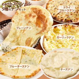 【ふるさと納税】earthスペシャル5種のナンセットカレー ナン セット 5種類 食べ比べ 国産小麦 北海道小麦 プレーン ガーリック チーズナン ドライフルーツナン ブルーチーズ スパイス ネパール 冷凍食品 レトルト 即席 北海道 ふるさと納税 恵庭市 恵庭【65000302】