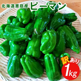 【ふるさと納税】北海道恵庭産ピーマン 1kg 約30個 訳あり 規格外 新鮮 ピーマン 野菜 国産野菜 産地直送 ふるさと納税 北海道 恵庭市 恵庭【67000502】