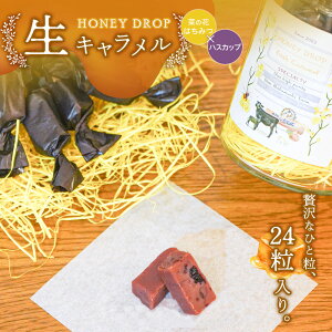 yӂ邳Ɣ[ŁzyHONEY DROPz؂̉Ԃ݂͂L(nXJbv) 2_[Xi24j | L L t[cL nXJbvL Z ґ َq XC[