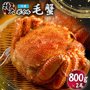 yӂ邳Ɣ[ŁzⓀ {C т ъI уKj {CъI  Jj  I 800g×2 1.6kg ɖX ɂ݂  Z I_ CY CN L  C̍K yVӂ邳Ɣ[ ӂ邳Ɣ[