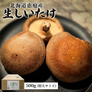 yӂ邳Ɣ[ŁzkCbY  500g 13O ʌ TCY IC \ ӂ邳Ɣ[ kC b ő  ő ۏ ̂ h{_  Z ̂ꂽ 