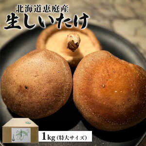 yӂ邳Ɣ[ŁzkCbY  1kg 25O ʌ TCY IC \ ӂ邳Ɣ[ kC b ő  ő ۏ ̂ h{_  Z ̂ꂽ 