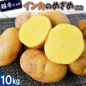【ふるさと納税】越冬じゃが インカのめざめ サイズ混合 10kg 芋 いも お芋 オンライン 申請 ふるさと納税 北海道 恵庭 インカ じゃがいも ジャガイモ 甘い 濃厚 フライドポテト じゃがバター
