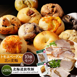 yӂ邳Ɣ[ŁzukCq؃V_[x[RƃnubNvƃgx[Ouk̔ցv10Zbg | q x[R V_[x[R n n ubNn k