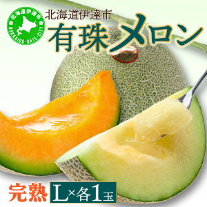 yӂ邳Ɣ[Łz2026Ns\񁄖kCY L상 2 Zbg ԓ  LTCY 1.6kgȏ e1 Hה ct ʕ ߂ t[c  n { J Mtg j Yn