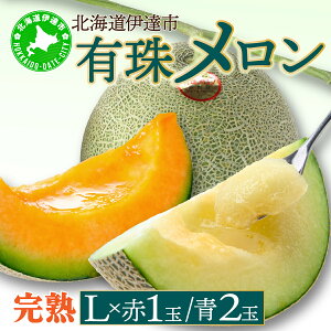 yӂ邳Ɣ[Łz2026Ns\񁄖kCY L상 3 Zbg LTCY 1.6kgȏ ԓ×1 ×2 v3 Hה ct ʕ ߂ t[c  n { J Mtg Yn