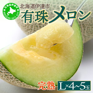 yӂ邳Ɣ[Łz2026Ns\񁄖kCY L상  4`5 v8kg ct O[ ʕ ߂ t[c  n { J Mtg j 蕨  Yn 