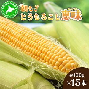 yӂ邳Ɣ[Łz2026Ns\񁄖kCY  Ƃ낱 b L-LLTCY 400g×15{ XC[gR[ S[hR[ gERV Ƃ R[ { n  Â  Yn