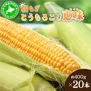 yӂ邳Ɣ[Łz2026Ns\񁄖kCY  Ƃ낱 b L-LLTCY 400g×20{ XC[gR[ S[hR[ gERV Ƃ R[ { n  Â  Yn