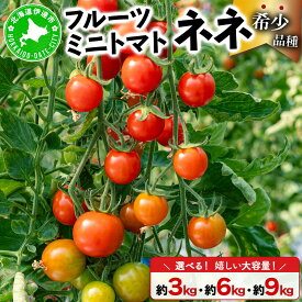 【ふるさと納税】【2026年先行予約】＜選べる容量＞北海道産 ミニトマト ネネ 約3~9kg フルーツトマト プチトマト 甘い 濃厚 彩り 鮮やか 希少 お中元 お歳暮 暑中見舞い 帰省土産 ご自宅用 産地直送 大滝農園 送料無料 北海道