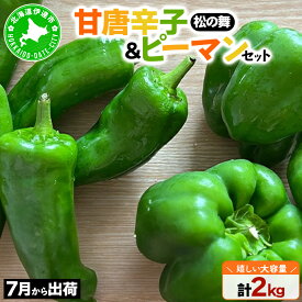 【ふるさと納税】＜先行予約＞北海道伊達産 大滝農園 甘唐辛子「松の舞」・ピーマン セット 約計2kg 野菜