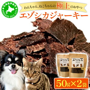 yӂ邳Ɣ[ŁzkCG]VJW[L[50g×2 kCY Y Y pW[L[ ̂ LpW[L[ L̂ ybgt[h W[L[