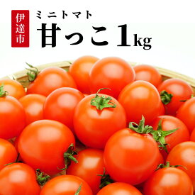 【ふるさと納税】＜先行予約＞北海道伊達産 ミニトマト 甘っこ 1kg【55250938】とまと 甘い 野菜 やさい 人気 新鮮 産地直送 農家直送 先行受付