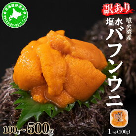 【ふるさと納税】訳あり 100%国産 北海道 噴火湾産 天然 塩水 バフンウニ 100g ~ 500g みょうばん不使用 うに ウニ 雲丹 海鮮 海の幸 魚介類 うに丼 お寿司 濃厚 無添加 産地直送 お取り寄せ 山村水産 送料無料 伊達市