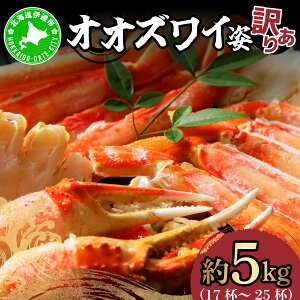 yӂ邳Ɣ[ŁzIIYCpi󂠂ij5kgb Jj YCKj IIYCyysk-003z