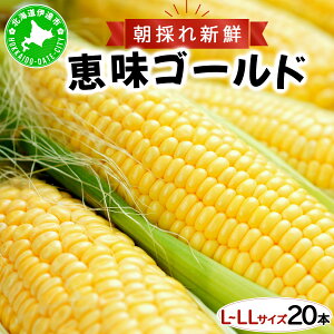 yӂ邳Ɣ[Łzy 2026Ns\ zIׂ{kC  Ƃ낱 b S[h L-LLTCY 10`20{ XC[g R[ gERV Ƃ { n  ̂ꂽ ̂ 