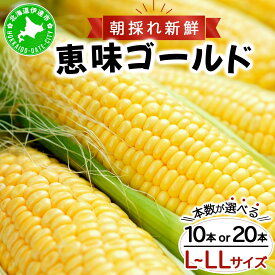 【ふるさと納税】【 2026年先行予約 】＜選べる本数＞北海道 朝もぎ とうもろこし 恵味 ゴールド L-LLサイズ 10～20本 スイート コーン トウモロコシ とうきび 旬 完熟 新鮮 野菜 採れたて 朝採り 甘い めぐみ 産地直送 取り寄せ 北海道産 送料無料 伊達市