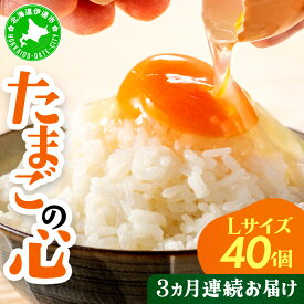 【ふるさと納税】3ヵ月連続お届け たまごの心 40個 Lサイズ 太陽の園 の平飼たまご 有精卵 北海道 伊達市 たまご 卵 生たまご 鶏卵 北海道産 鶏の卵 ポリスブラウン 食材 卵かけごはん TKG オムレツ オムライス 【農福連携】
