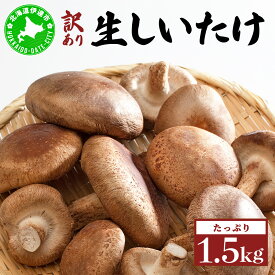 【ふるさと納税】訳あり 湘南しいたけ 生 しいたけ 1.5kg 規格外 訳アリ しいたけ シイタケ 椎茸 きのこ キノコ ヘルシー 栄養 肉厚 ジューシー フレッシュ 国産 産地直送 アレンジ BBQ バーベキュー 北海道 伊達市【農福連携】