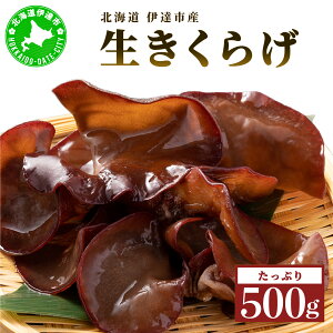 yӂ邳Ɣ[ŁzÓ삵  炰 500g 炰 ؎ LNQ  ՂՂ vv 肱 RR h{ wV[ _CGbg  AW X[v T_ VN ̂ LmR