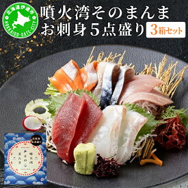 【ふるさと納税】噴火湾そのまんま お刺身5点盛り(わさび・醤油付き)3箱 旬菜一鮮 だて大和屋 厳選 魚介 海鮮 刺身 刺し身 小分け 新鮮 魚介類 魚貝類 加工食品 贈答 ギフト 贈り物 ご褒美