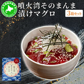 【ふるさと納税】噴火湾そのまんま 漬けマグロ(わさび・醤油・海苔付き)3箱 旬菜一鮮 だて大和屋 厳選 魚介 海鮮 刺身 刺し身 小分け 新鮮 魚介類 魚貝類 加工食品 贈答 ギフト 贈り物 ご褒美