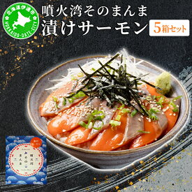 【ふるさと納税】噴火湾そのまんま 漬けサーモン(わさび・醤油・海苔付き)5箱 旬菜一鮮 だて大和屋 厳選 魚介 海鮮 刺身 刺し身 小分け 新鮮 魚介類 魚貝類 加工食品 贈答 ギフト 贈り物 ご褒美