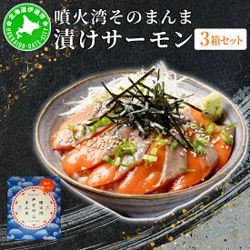 【ふるさと納税】噴火湾そのまんま 漬けサーモン(わさび・醤油・海苔付き)3箱 旬菜一鮮 だて大和屋 厳選 魚介 海鮮 刺身 刺し身 小分け 新鮮 魚介類 魚貝類 加工食品 贈答 ギフト 贈り物 ご褒美