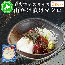 【ふるさと納税】噴火湾そのまんま 山かけ漬けマグロ(わさび・醤油・海苔付き)3箱 旬菜一鮮 だて大和屋 厳選 魚介 海鮮 刺身 刺し身 小分け 新鮮 魚介類 魚貝類 加工食品 贈答 ギフト 贈り物 ご褒美