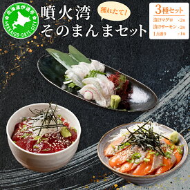 【ふるさと納税】噴火湾そのまんま 漬けマグロ2箱、漬けサーモン2箱、お刺身1点盛り1箱の計5箱 旬菜一鮮 だて大和屋 厳選 魚介 海鮮 刺身 刺し身 小分け 新鮮 魚介類 魚貝類 加工食品 贈答 ギフト 贈り物 ご褒美