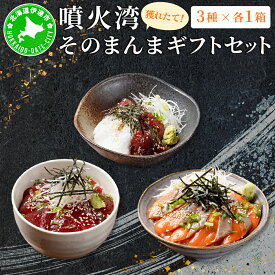 【ふるさと納税】噴火湾そのまんま ギフトセット(3種各1箱)　旬菜一鮮 だて大和屋 厳選 魚介 海鮮 刺身 刺し身 小分け 新鮮 魚介類 魚貝類 加工食品 贈答 ギフト 贈り物 ご褒美