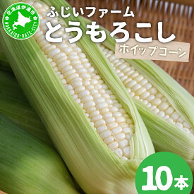 【ふるさと納税】＜先行予約＞北海道産 とうもろこし(ホイップコーン) Lサイズ 10本 【55250483】ホワイト トウモロコシ とうきび コーン スイートコーン 国産 野菜 人気 ふじいファーム
