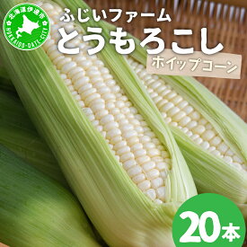 【ふるさと納税】＜先行予約＞北海道産 とうもろこし(ホイップコーン) Lサイズ 20本【55250485】ホワイト とうきび コーン スイートコーン 国産 野菜 農作物 人気 ふじいファーム 北海道