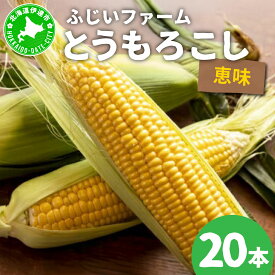 【ふるさと納税】＜先行予約＞北海道産 とうもろこし 恵味 Lサイズ 20本【55250486】トウモロコシ とうきび コーン スイートコーン 国産 野菜 人気 ふじいファーム