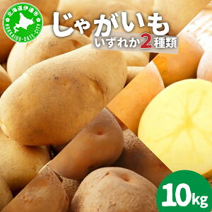 yӂ邳Ɣ[ŁzkCY Ⴊ 2 10kg Ƃ [NC k WKC n鏒 |eg  C st Yn  _앨 Â zNzN J[ RbP lC ӂ