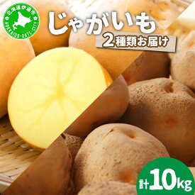 【ふるさと納税】＜先行予約＞北海道産 じゃがいも2種(とうや/北あかり) 約10kg【55250488】 ジャガイモ 馬鈴薯 ポテト 芋 イモ 野菜 農作物 カレー コロッケ 人気 ふじいファーム