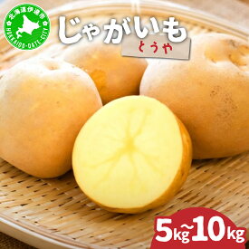 【ふるさと納税】＜先行予約＞【選べる容量】北海道産 じゃがいも(とうや) 約5〜10kg | ジャガイモ 馬鈴薯 ポテト 芋 イモ 国産 野菜 人気 ふじいファーム