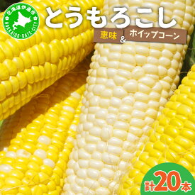 【ふるさと納税】＜先行予約＞北海道産 とうもろこし(恵味/ホイップコーン) 計20本【55250487】 トウモロコシ とうきび イエロー ホワイト コーン スイートコーン 旬 野菜 ふじいファーム
