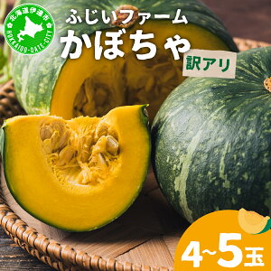 yӂ邳Ɣ[Łzy󂠂zڂ4`5