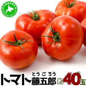 yӂ邳Ɣ[Łzy2026N  z s\ kC ɒB g}g ܘY  40  M ` L TCY Ƃ܂ VN W[V[ Yn