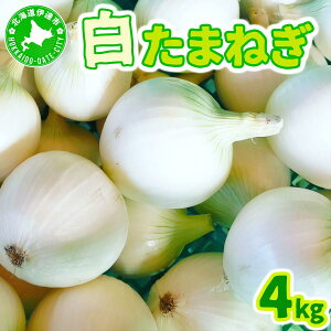 yӂ邳Ɣ[Łzy2026N6{zʂ˂ 4kg kC ɒBY ^}lM ʔK T_ [famy-002]
