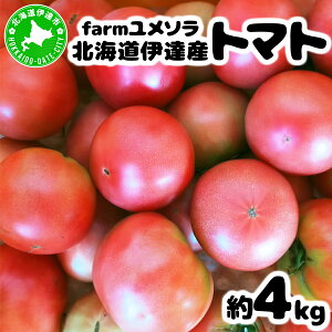 yӂ邳Ɣ[Łz2026N7珇oׁ farm\  g}g 4kgyfamy-001z