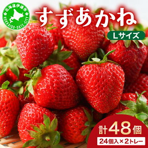 yӂ邳Ɣ[Łz2025N  s \ kC ɒBs   LTCY 24 2g[ 48  C`S XC[c fU[g ʕ Â  N₩ VN P[L َq