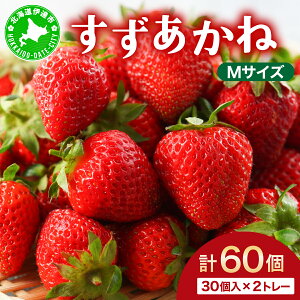 yӂ邳Ɣ[Łz2025N  s \ kC ɒBs   MTCY 30 2g[ 60  C`S XC[c fU[g ʕ Â  N₩ VN P[L َq
