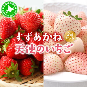 yӂ邳Ɣ[Łz2025N  s \ kC ɒBs   Vg   Zbg 25`35  C`S XC[c fU[g ʕ Â   N₩ VN P[L َq 
