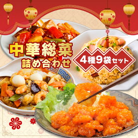 【ふるさと納税】北海道 中華料理店 菜菜の冷凍レトルト 詰め合わせ 9袋 セット 惣菜 エビチリ チャーハン 酢豚 中華丼 レトルト 食品 時短 便利 簡単 本格 中華 お店の味 ケイズ企画 送料無料 伊達