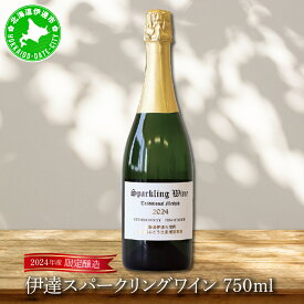 【ふるさと納税】北海道 伊達スパークリングワイン 750ml 1本 2024年産 限定醸造 スパークリングワイン ワイン 葡萄 ぶどう ブドウ 醸造 ヴィンテージ 白ワイン お酒 酒 アルコール 発泡酒 シャルドネ ピノ・ノワール 晩酌